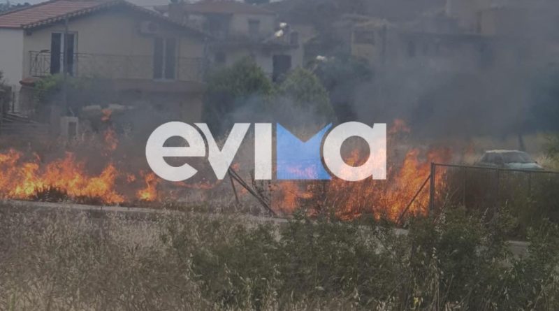 Γυναίκα έβαλε φωτιά στην Εύβοια