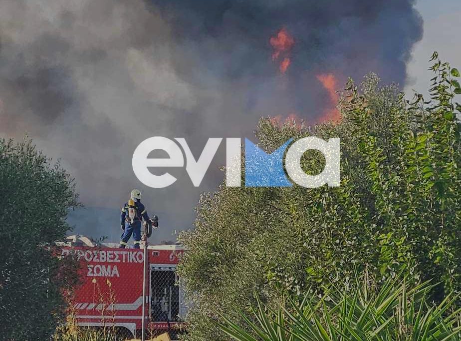 Το πρώτο βίντεο από τη φωτιά σε εργοστάσιο στην Εύβοια