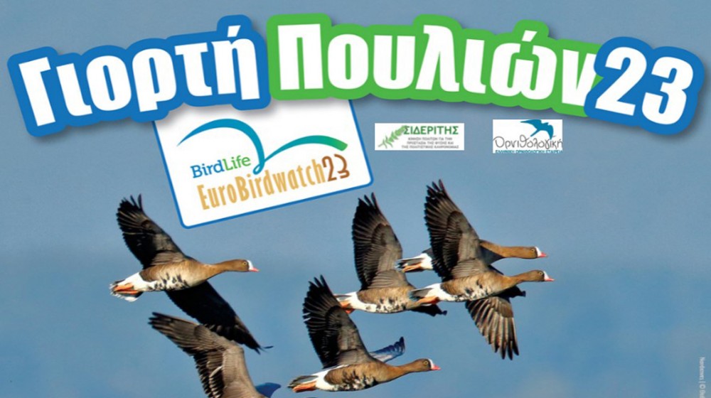 Γιορτή πουλιών στην Εύβοια: Πού και πότε θα γίνει