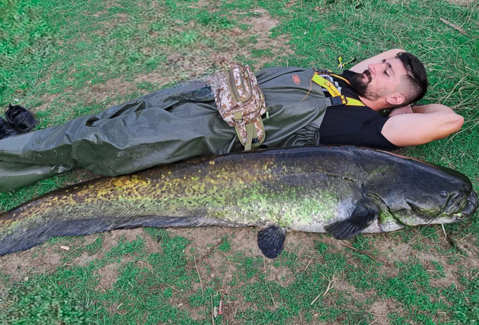 Έπιασε ψαρούκλα βάρους 70 κιλών σε λίμνη αλλά το άφησε να ζήσει (pics)