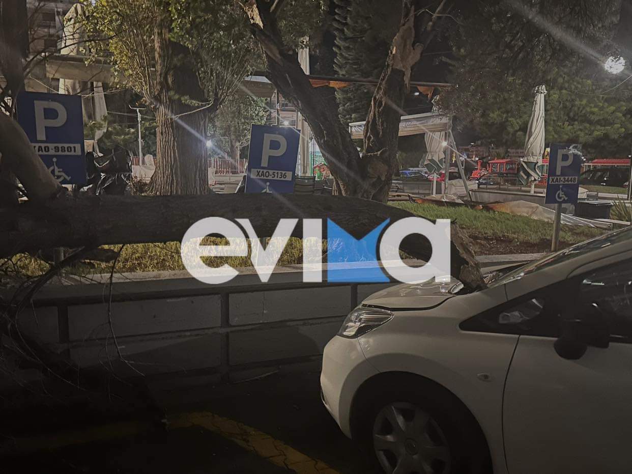 Κακοκαιρία στην Εύβοια: Σοβαρές ζημιές σε καταστήματα και αυτοκίνητα από πτώσεις δέντρων – Εικόνες