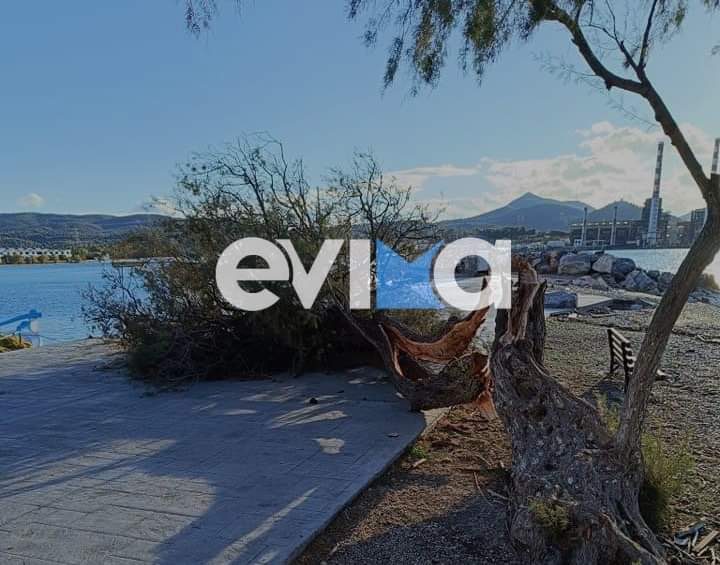 Κακοκαιρία Bettina: Προβλήματα στην Εύβοια – Καταστράφηκαν δρόμοι – Έπεσε δέντρο και έκλεισε δρόμο σε λιμάνι (εικόνες)