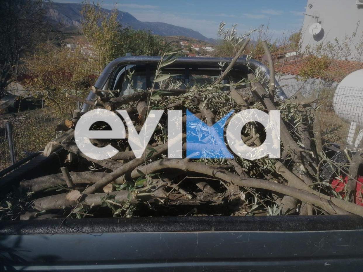 Ετοιμάζονται για το χειμώνα στα χωριά της Εύβοιας – Τι λένε κάτοικοι στο evima.gr