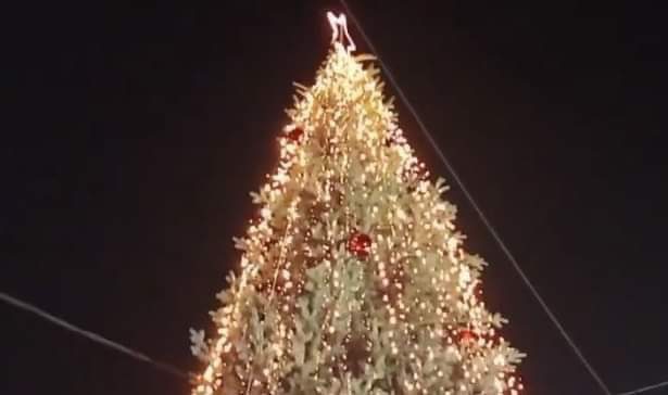 Εύβοια: Σε αυτή τη γειτονιά των Ψαχνών στολίζουν αύριο το Χριστουγεννιάτικο δέντρο