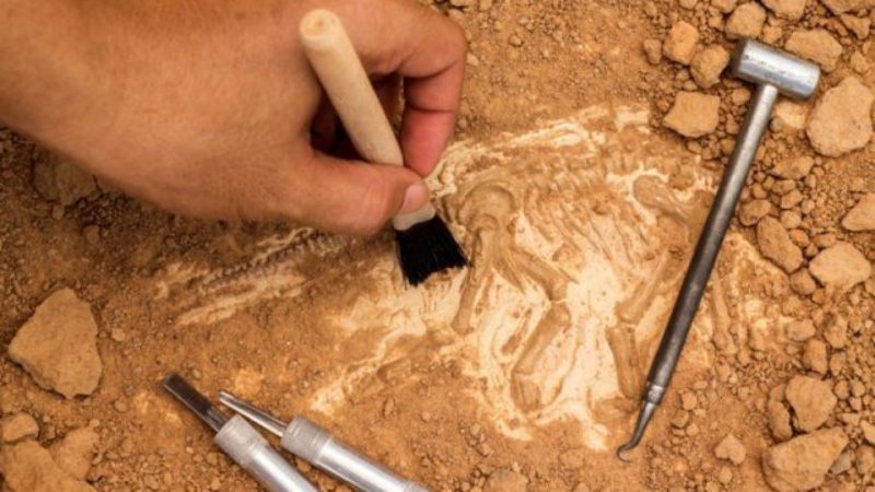 Αδιανόητο περιστατικό στην Εύβοια: Έκλεψαν εργαλεία και υλικά αρχαιολόγων