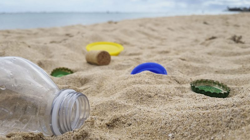Ποια παραλία ανέλαβαν να καθαρίσουν μαθητές στην Εύβοια