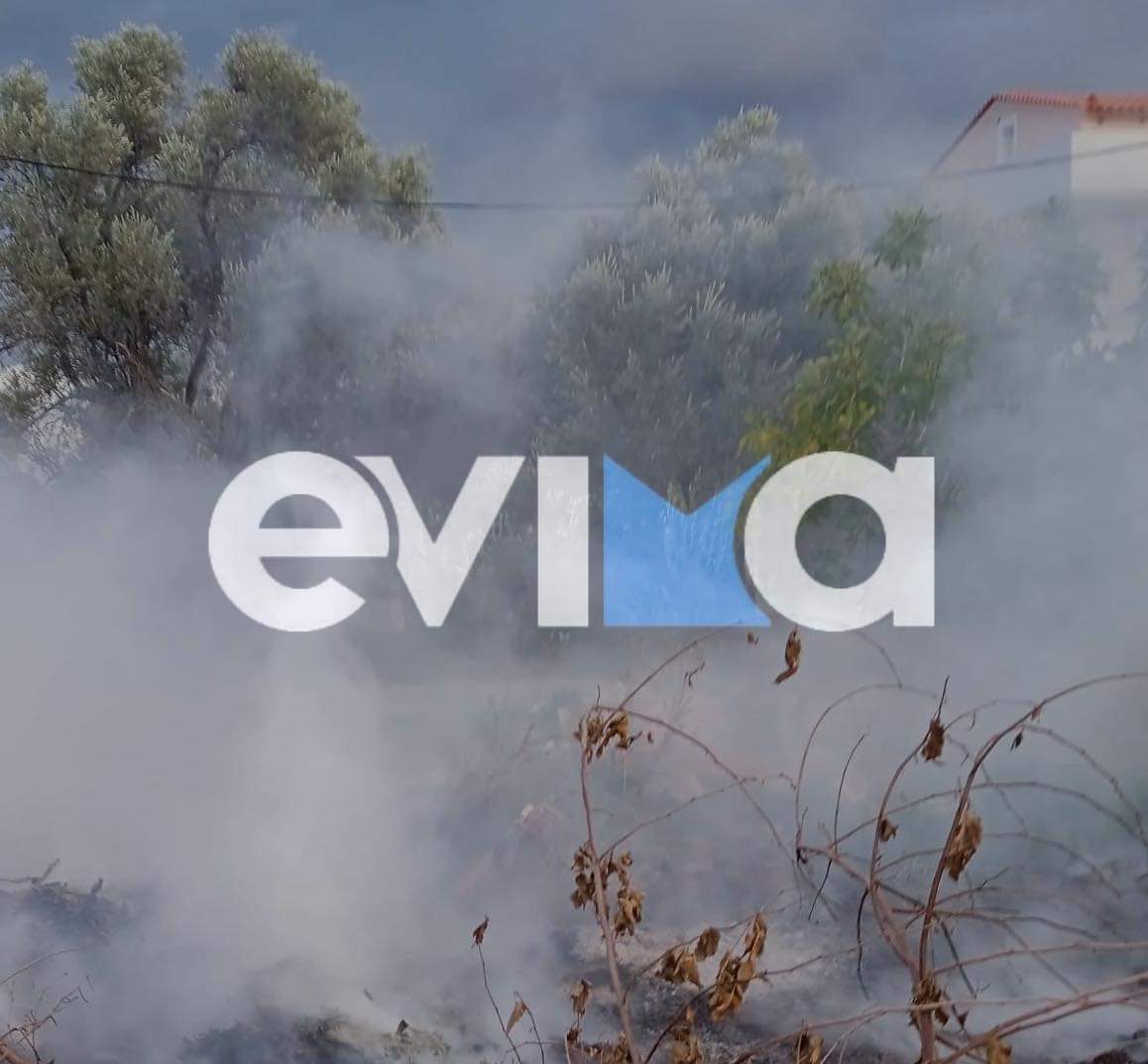 Φωτιά κοντά σε ξενοδοχείο και σε σπίτια στην Εύβοια