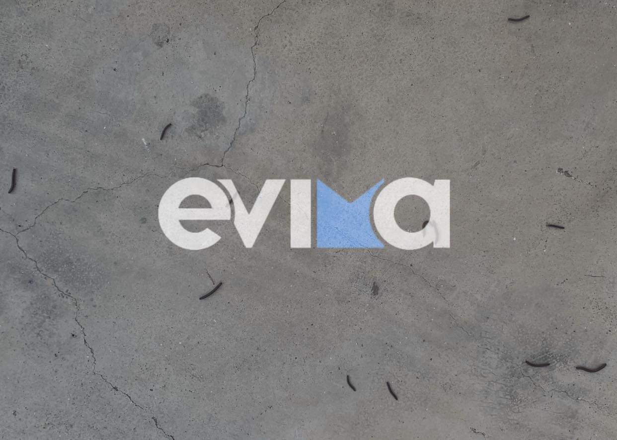 Απίστευτο περιστατικό στην Εύβοια: Αυλές σπιτιών γέμισαν σκουλήκια  – Δείτε εικόνες