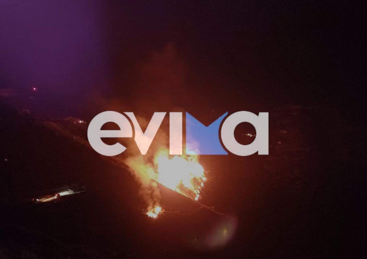Φωτιά στην Εύβοια: Μεγάλη αναζωπύρωση στο χωριό Σχίζαλη (εικόνες)