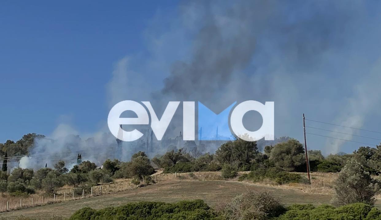 Νέα φωτιά στην Εύβοια: Καίει ανάμεσα σε δύο οικισμούς κοντά σε σπίτια (pics&vid)
