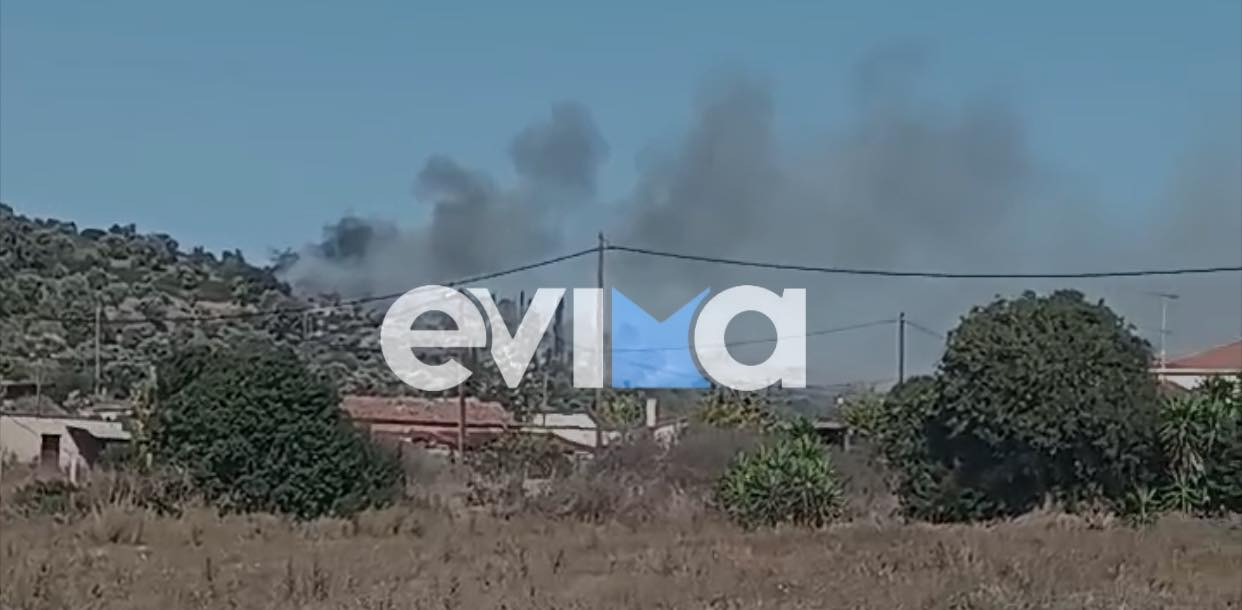 Νέα φωτιά στην Εύβοια: Συνελήφθη άνδρας που έβαλε την πυρκαγιά στη Δάφνη