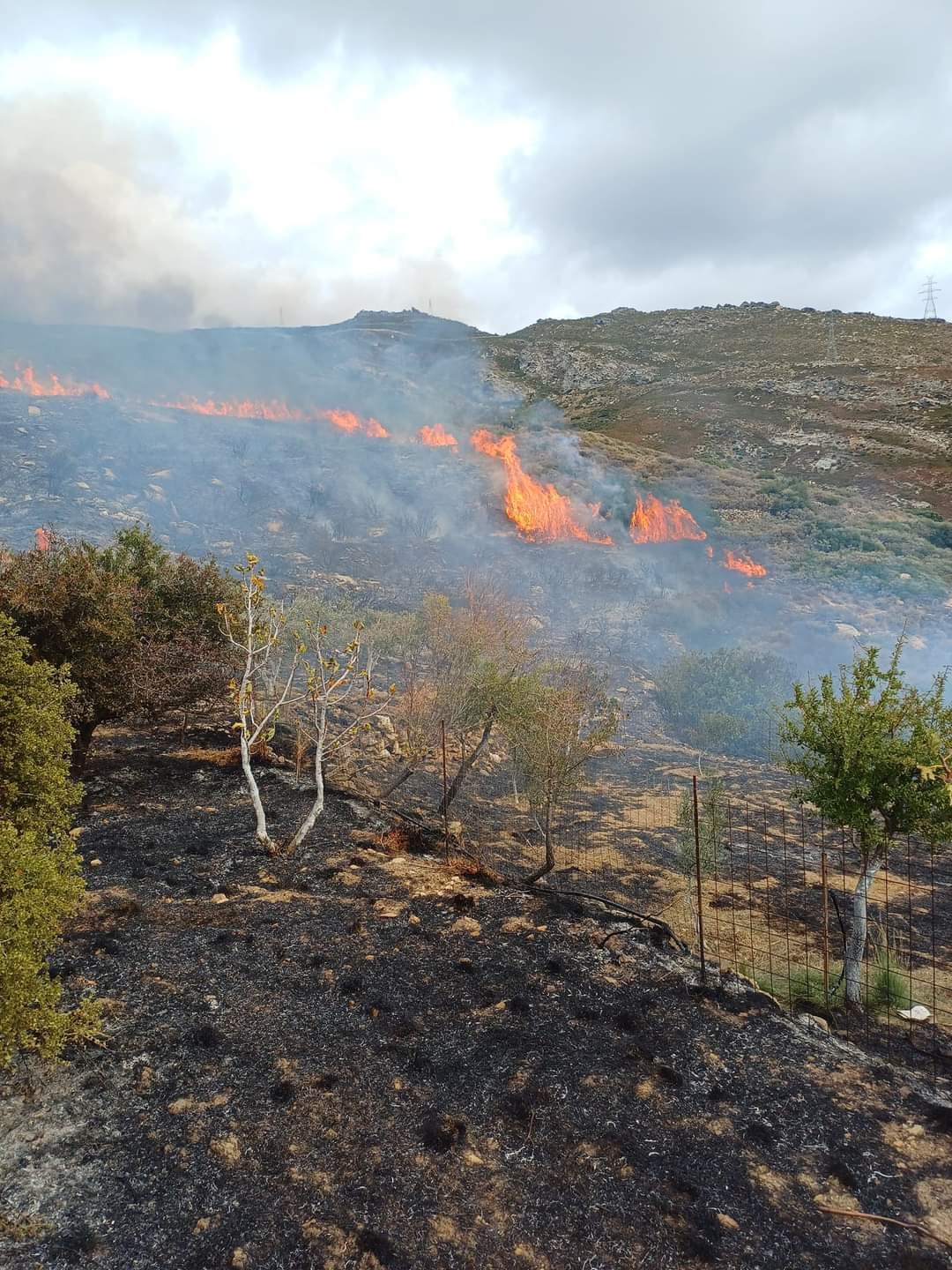 Άνδρας έβαλε πάλι φωτιά στην Εύβοια και το πλήρωσε ακριβά