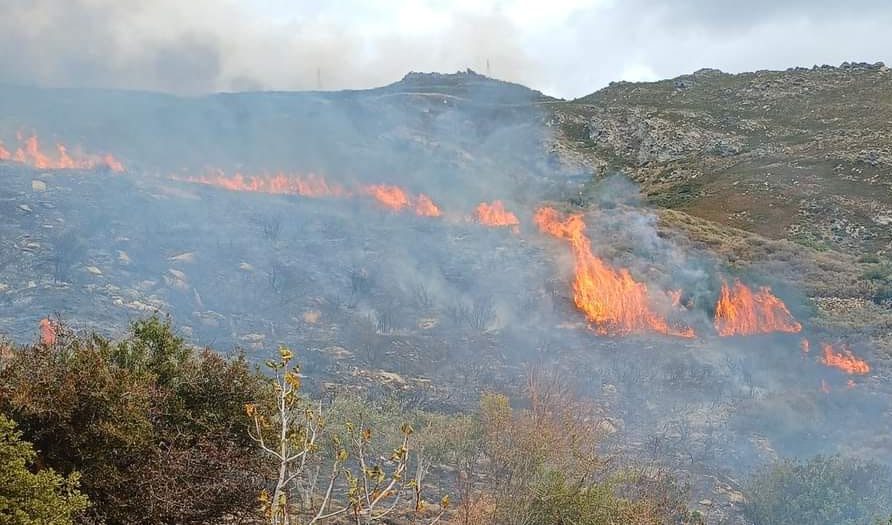 Εύβοια: Πήγε να κάψει κλαδιά και «έφαγε» πρόστιμο