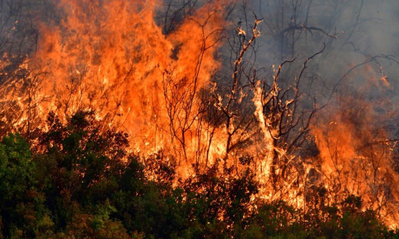 Φωτιά στον Βόλο – Καίγεται δασική έκταση στο Βρωμονέρι στο Νότιο Πήλιο