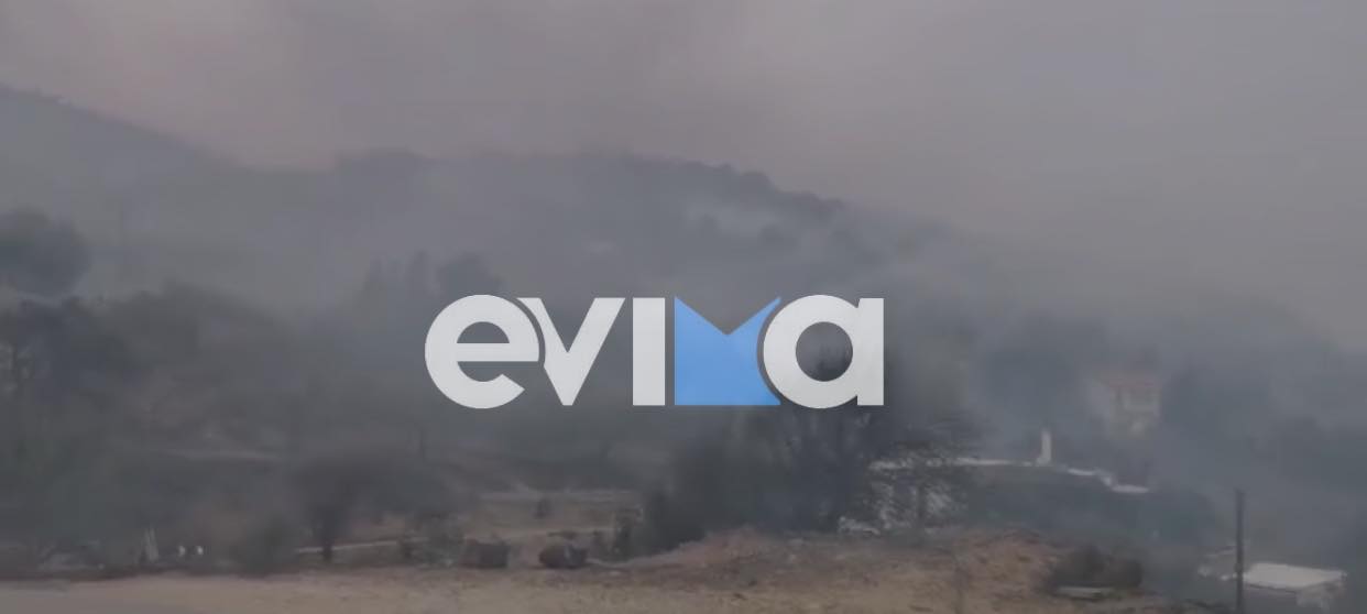 Μεγάλη φωτιά στην Εύβοια: Αστυνομικοί απομακρύνουν τον κόσμο από το χωριό (vid)