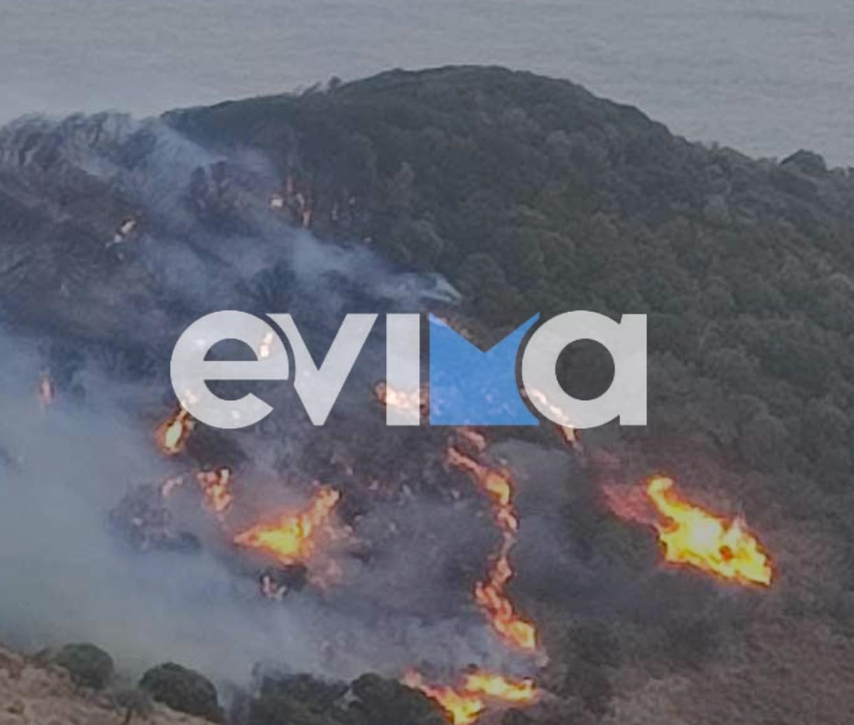 Φωτιά στην Εύβοια: Οι φλόγες κυκλώνουν τα χωριά της Καρύστου (vid)