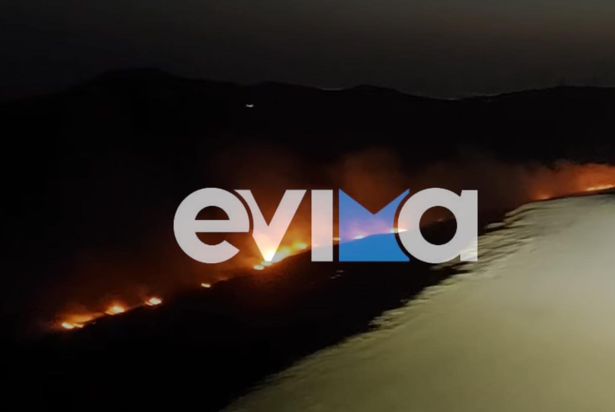 Νύχτα αγωνίας στην Εύβοια: «Το μέτωπο είναι πολύ μεγάλο, έχει απλώσει η φωτιά», λέει ο Κελαϊδίτης