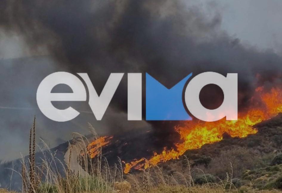 Πύρινη κόλαση στην Εύβοια: Η φωτιά καίει ανεξέλεγκτα – Νέο βίντεο