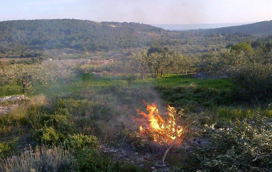 Εύβοια: Έκαιγε κλαδιά και του έβαλαν πρόστιμο