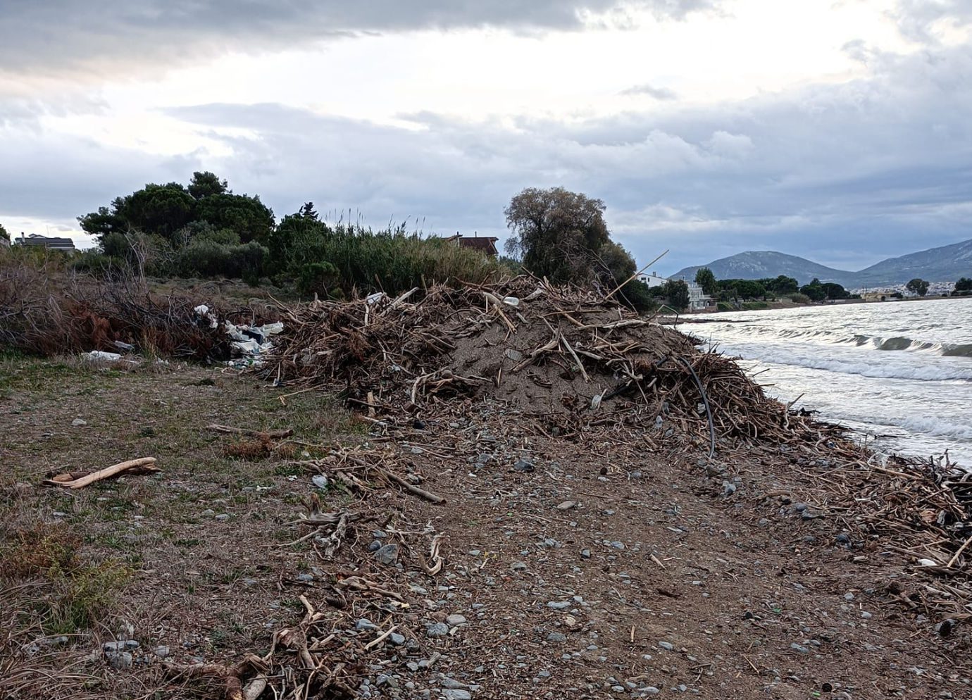 Εύβοια: «Βομβαρδισμένο» τοπίο θυμίζει παραλία -Φερτά υλικά, κορμοί δέντρων και σκουπίδια