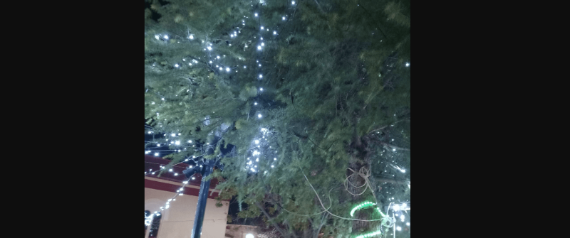 Χριστούγεννα στην Εύβοια: Ποια κοινότητα φόρεσε «τα γιορτινά της»