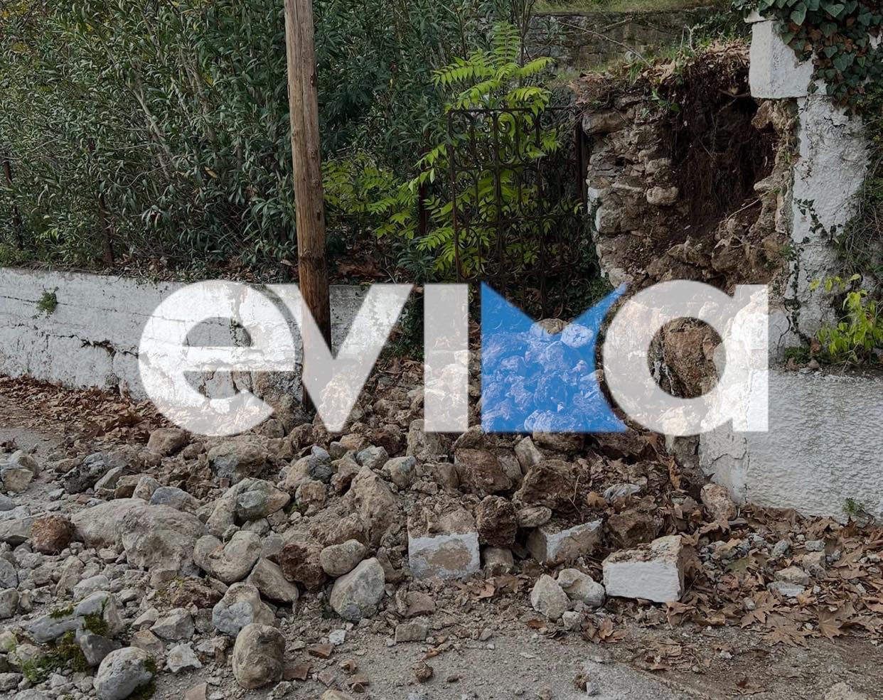 Νέα εκτίμηση Παπαδόπουλου για το σεισμό στην Εύβοια – Σήμερα οι έλεγχοι σε σχολεία, σπίτια και επιχειρήσεις
