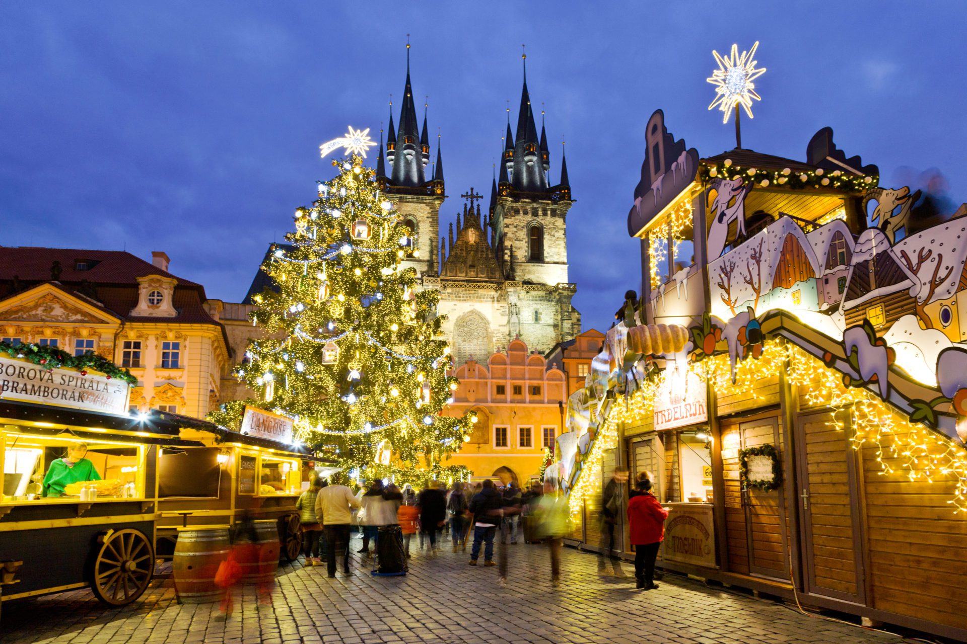 Το Δημοτικό Σχολείο Σκύρου γνωρίζει τα έθιμα των Χριστουγέννων στην Τσεχία – Δείτε πως