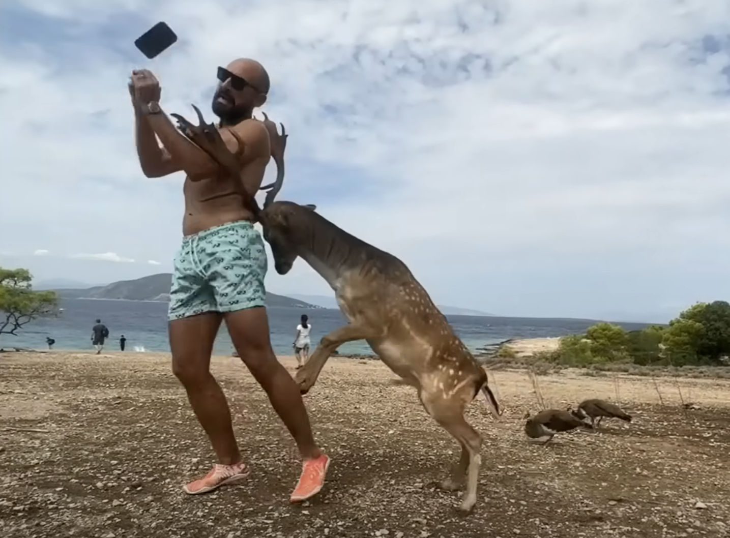 Ελάφι επιτέθηκε σε τουρίστα και του έσπασε τα πλευρά ενώ προσπαθούσε να βγάλει selfie (video)