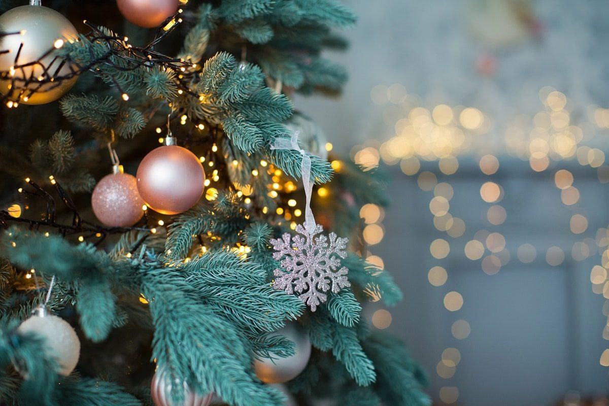 Χαλκίδα: Έρχεται το κοντσέρτο των Χριστουγέννων – Το πρόγραμμα των εκδηλώσεων