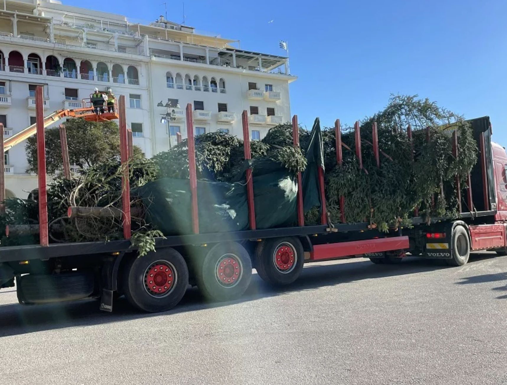 Θεσσαλονίκη: Στην πλατεία Αριστοτέλους το χριστουγεννιάτικο έλατο ύψους 17 μέτρων