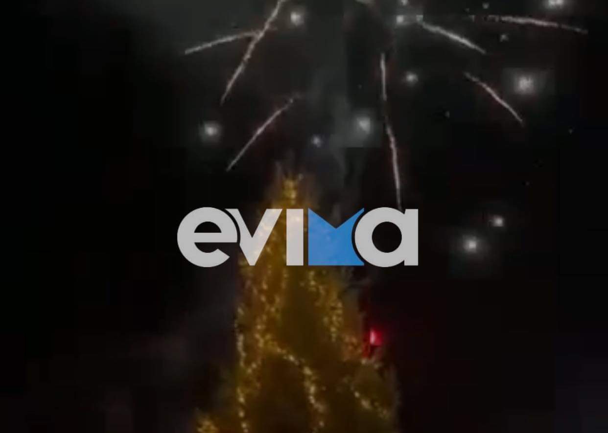 Έλαμψε ο ουρανός στις Ροβιές Ευβοίας – Άναψαν το Χριστουγεννιάτικο δέντρο (pics&vid)