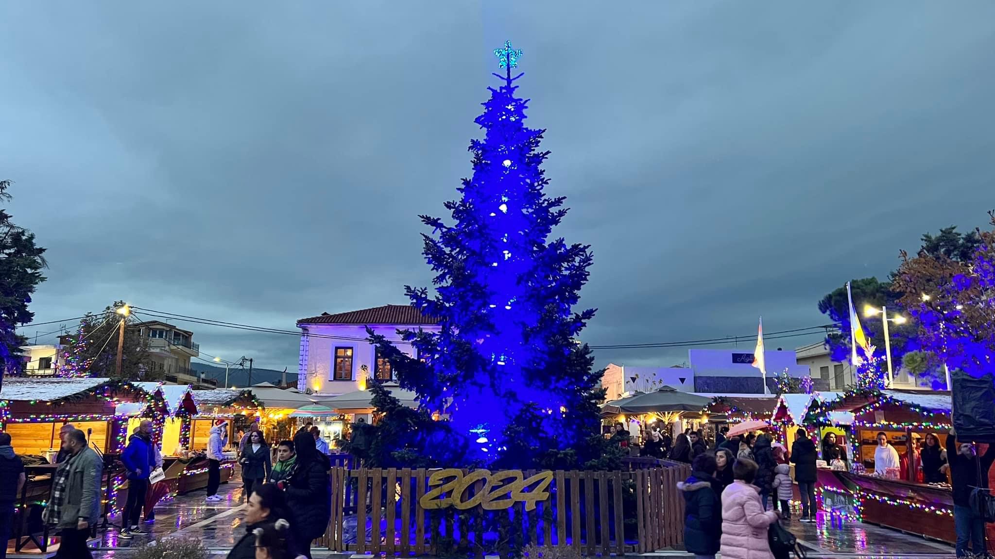Χριστούγεννα στην Εύβοια: Σήμερα η φωταγώγηση του δέντρου στην Ιστιαία