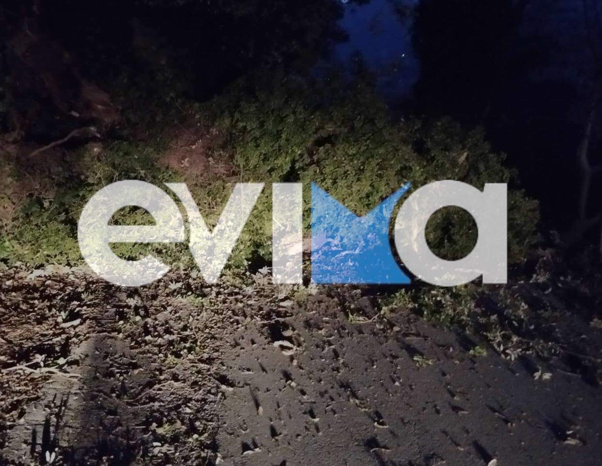 Εύβοια: Έπεσε δέντρο σε καλώδια της ΔΕΗ – Χωρίς ρεύμα το χωριό – Ποιος δρόμος είναι κλειστός