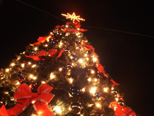 Εύβοια: Προσπάθησαν να κλέψουν τον χριστουγεννιάτικο στολισμό σε πάρκο της Χαλκίδας