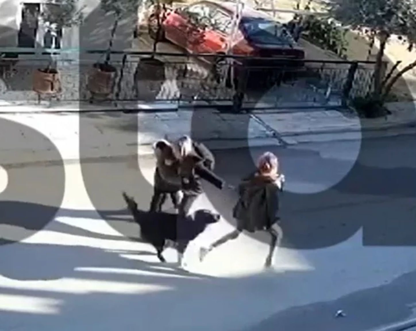 Σκληρό βίντεο: Η στιγμή της επίθεσης του σκύλου στο 9χρονο αγόρι στο Καματερό