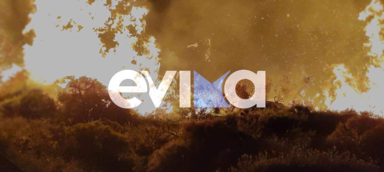 Εύβοια: Φωτιά τα ξημερώματα στα βουνά του Καβοντόρου (εικόνες)