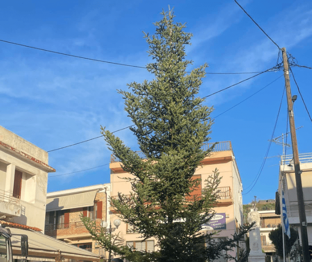 Εύβοια: Το Χριστουγεννιάτικο δέντρο- στολίδι 9,5 μέτρων – Δείτε πού βρίσκεται