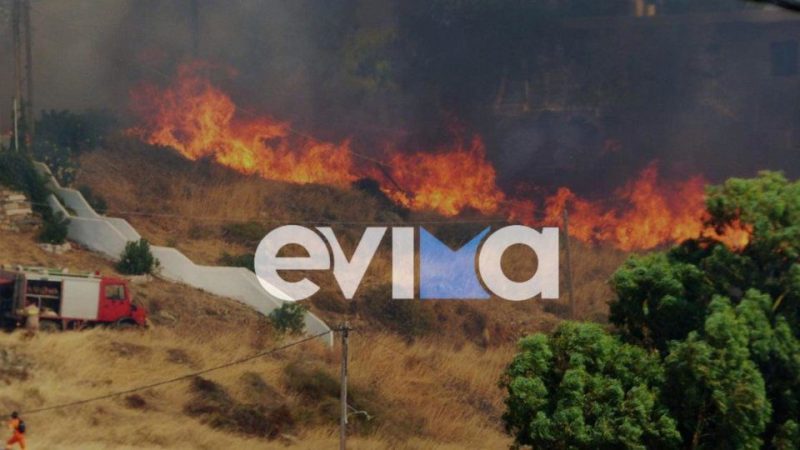 Φωτιές στην Εύβοια: Συναγερμός για άμεση λήψη μέτρων