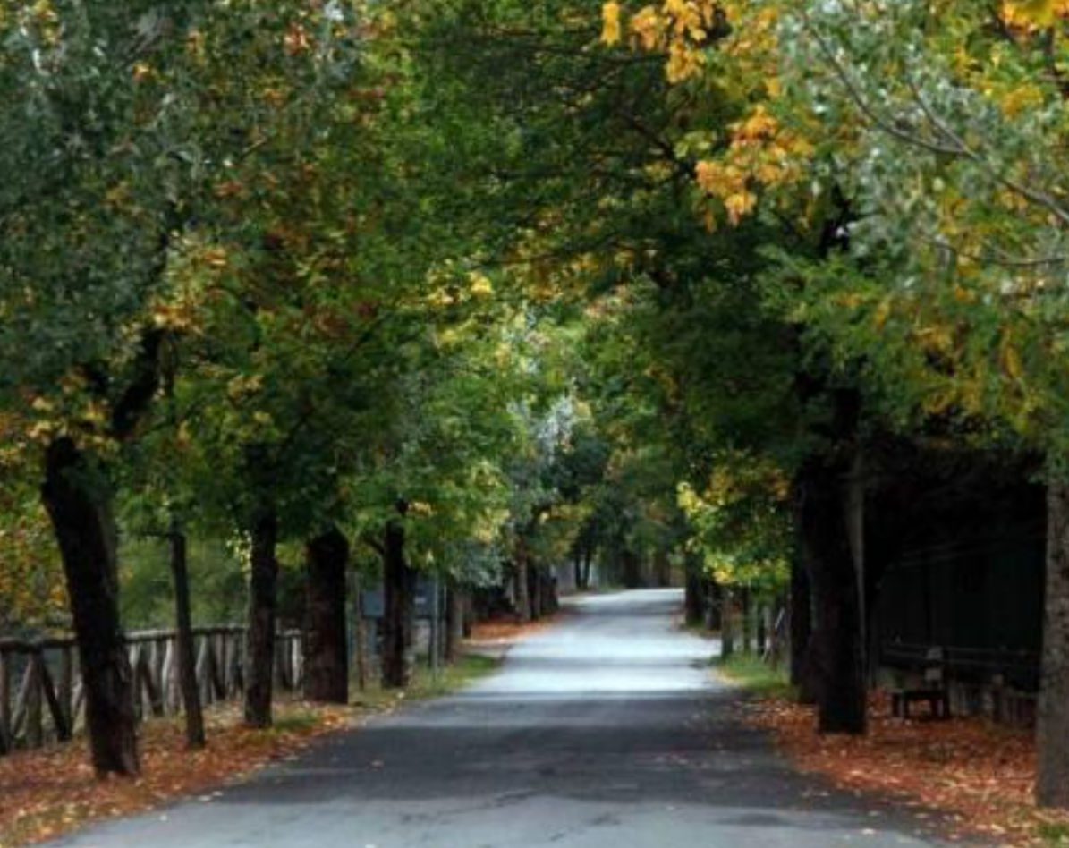 Οδηγείστε στον «Δρόμο της Αγάπης» – Δείτε σε ποιο ελληνικό χωριό βρίσκεται