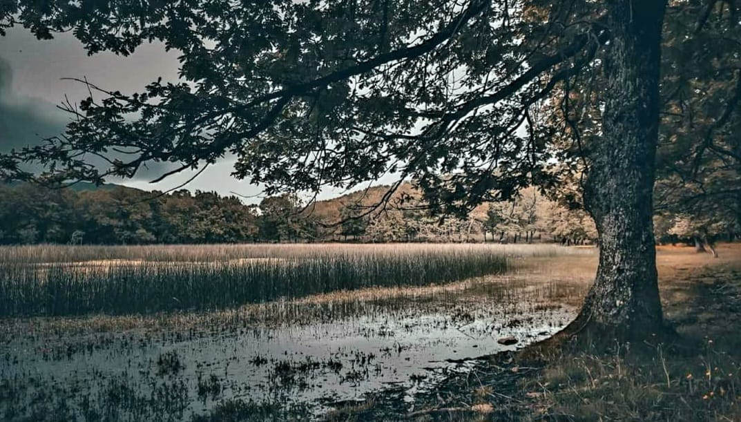 Σε αυτό το βουνό της Εύβοιας θα γίνει πεζοπορία