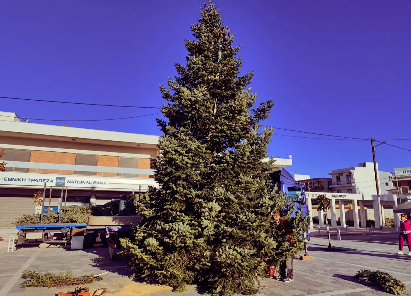 Εύβοια: Το δέντρο που κλέβει τις εντυπώσεις φωταγωγείται στις 15 Δεκεμβρίου