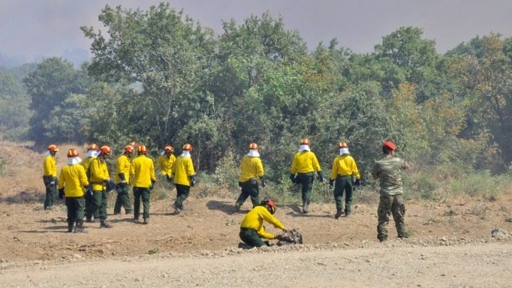 Εύβοια: Προσλήψεις δασοκομάντος- Τι πρέπει να ξέρετε τις θέσεις εργασία που προκηρύσσονται