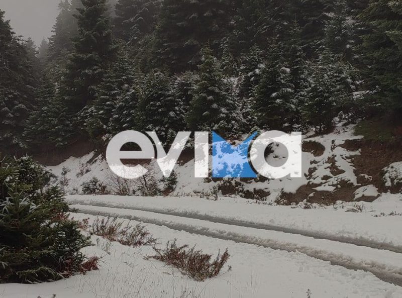 Εύβοια: Έπεσαν τα πρώτα χιόνια- Κανονικά η πρόσβαση στα ορεινά του νησιού