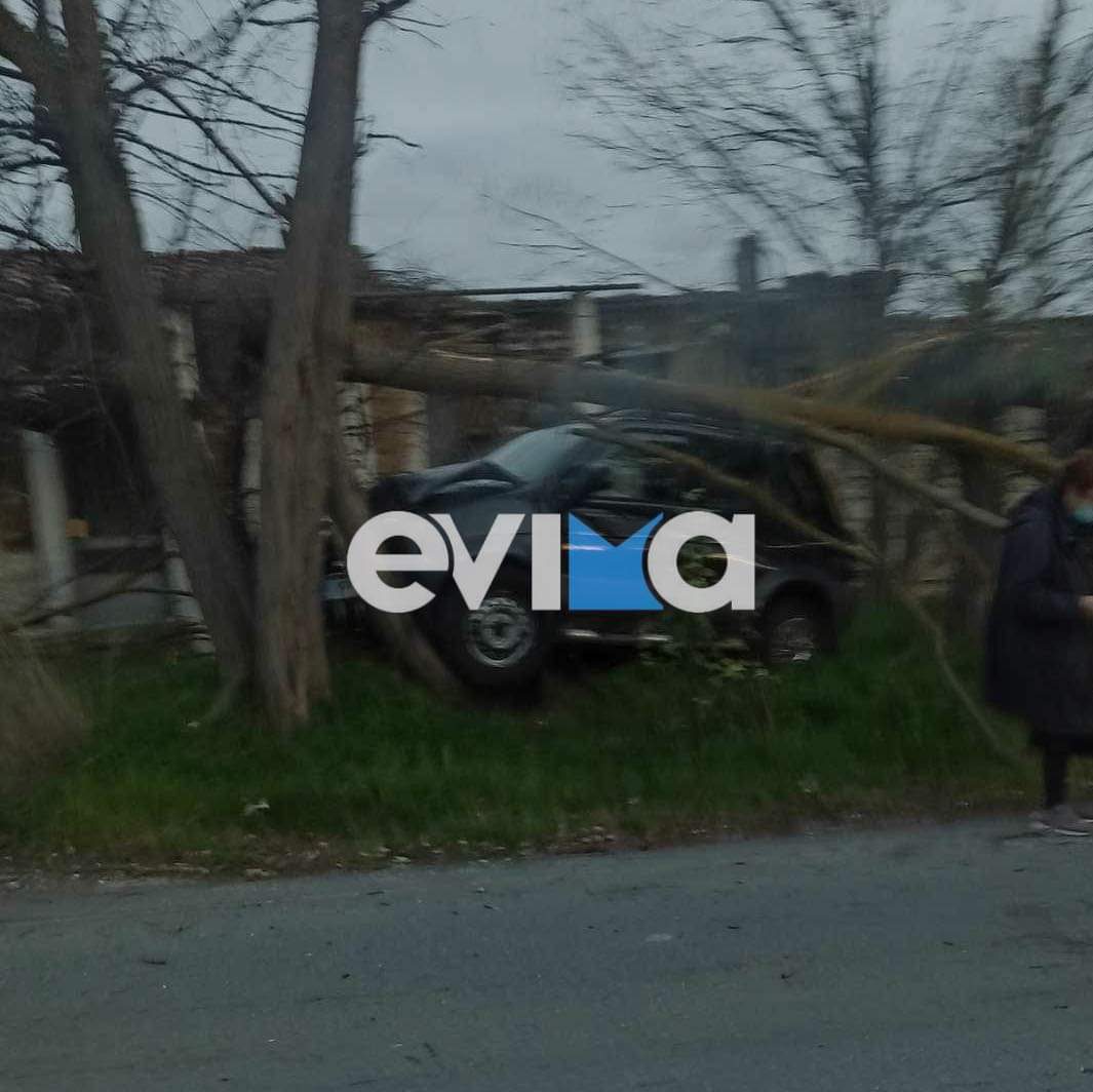 Σφοδρό τροχαίο  στην Εύβοια: Αυτοκίνητο  καρφώθηκε σε δέντρο