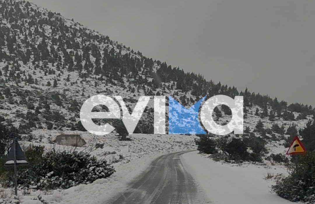 Κακοκαιρία «Avgi» – Εύβοια: Ισχυρή χιονόπτωση τώρα στο Γέροντα Ερέτριας (vid)