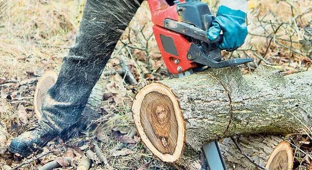 Σοβαρό ατύχημα στην Εύβοια: Δέντρο καταπλάκωσε 57χρονο υλοτόμο