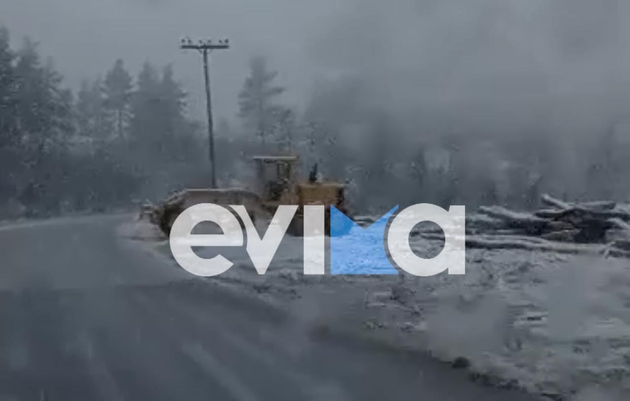 Χιόνια στην Εύβοια: Πυκνή χιονόπτωση στη Σέτα, με αλυσίδες η κυκλοφορία στον Άγιο (pics&vid)