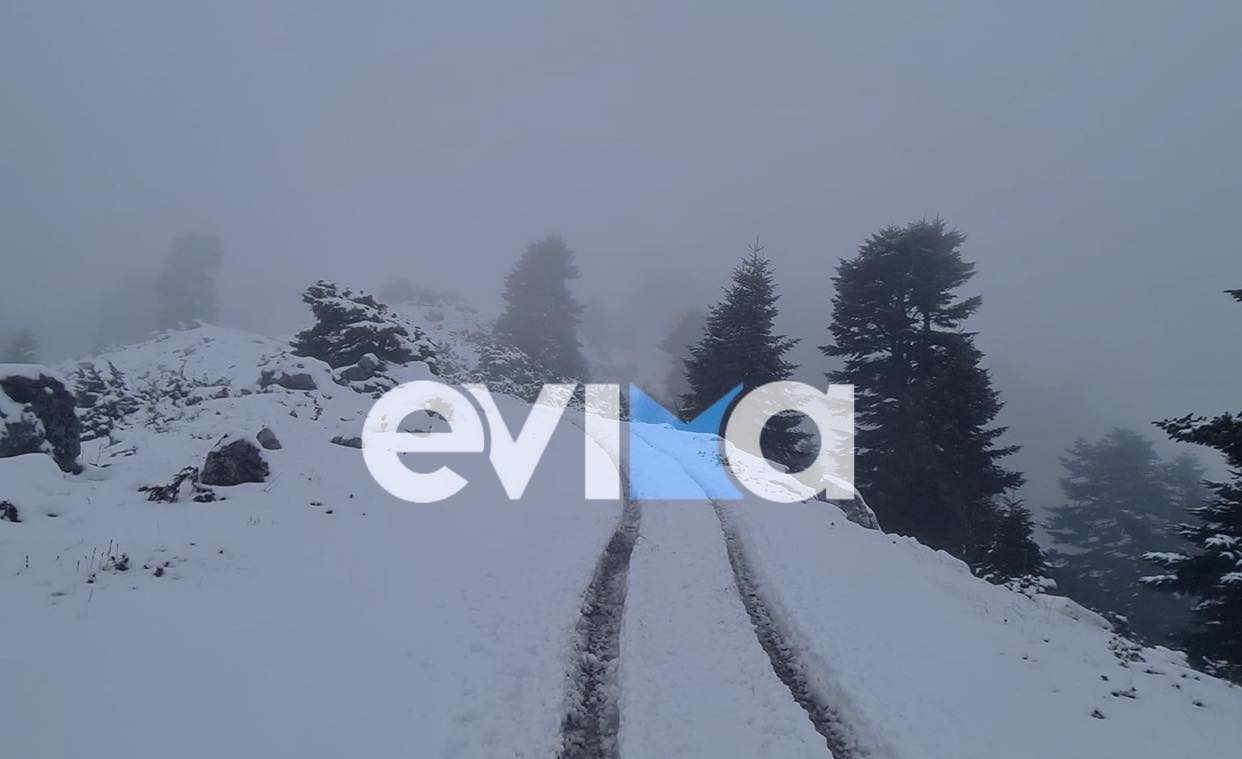 Καιρός: Νέο κύμα χιονιά σήμερα στην Εύβοια – Που θα χιονίσει