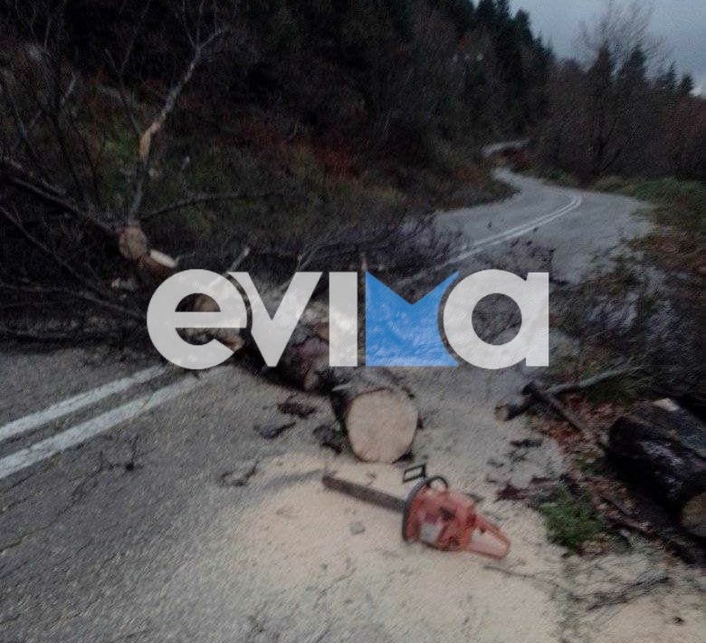 Κακοκαιρία: Χωρίς ρεύμα από χθες χωριό στην Εύβοια – Η έκκληση του προέδρου στη ΔΕΗ