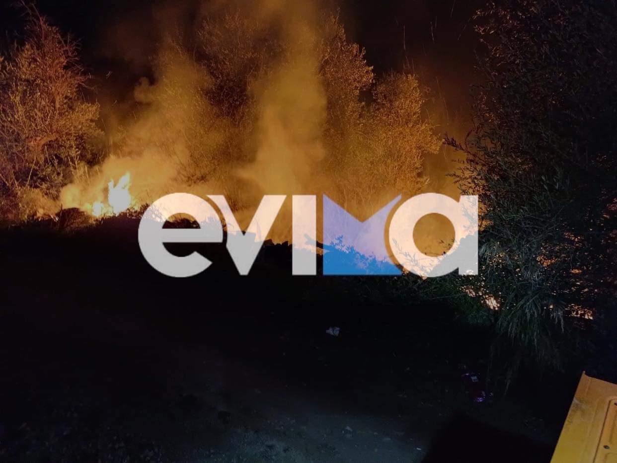 Δύο φωτιές ξέσπασαν ταυτόχρονα στην Εύβοια μέσα σε οικισμούς